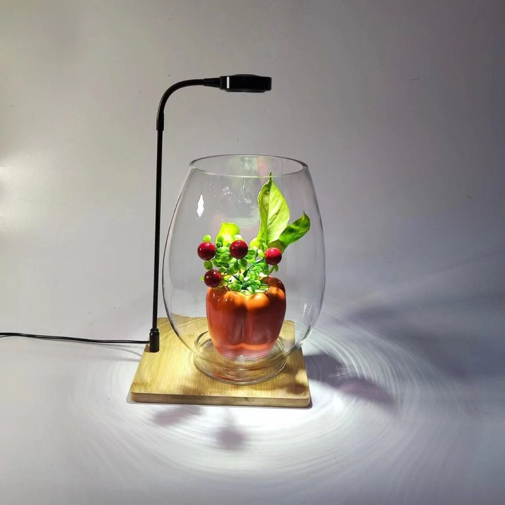 Aquarium Plant On Wood - Lámpara de relleno de plantas de