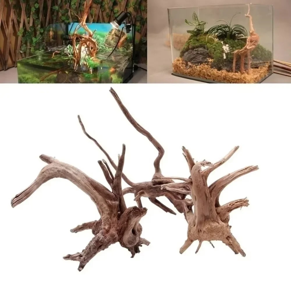 Aquarium Planted Wood - Decoración de Acuario con Madera Natural