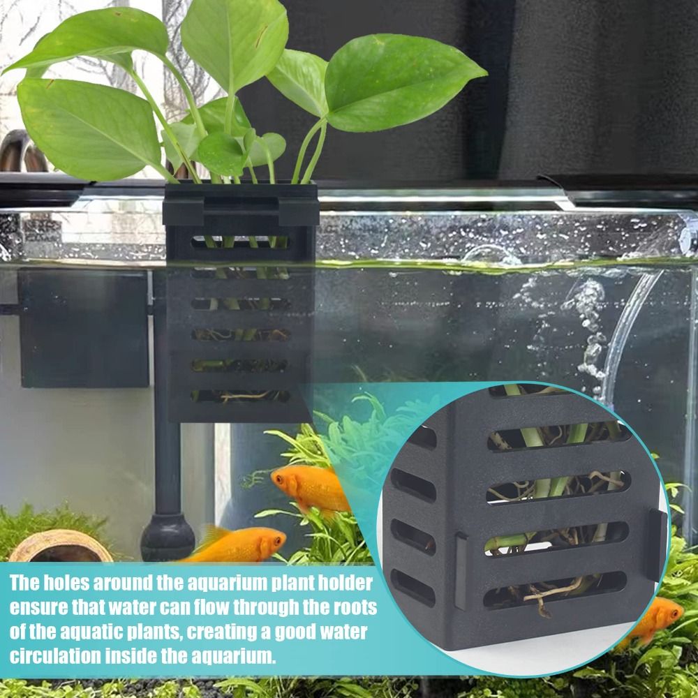 Emersed Plants Aquarium - Soporte para Plantas de Acuario, Tanque