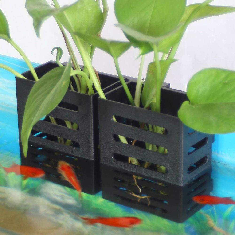Emersed Plants Aquarium - Soporte de vidrio para plantas de