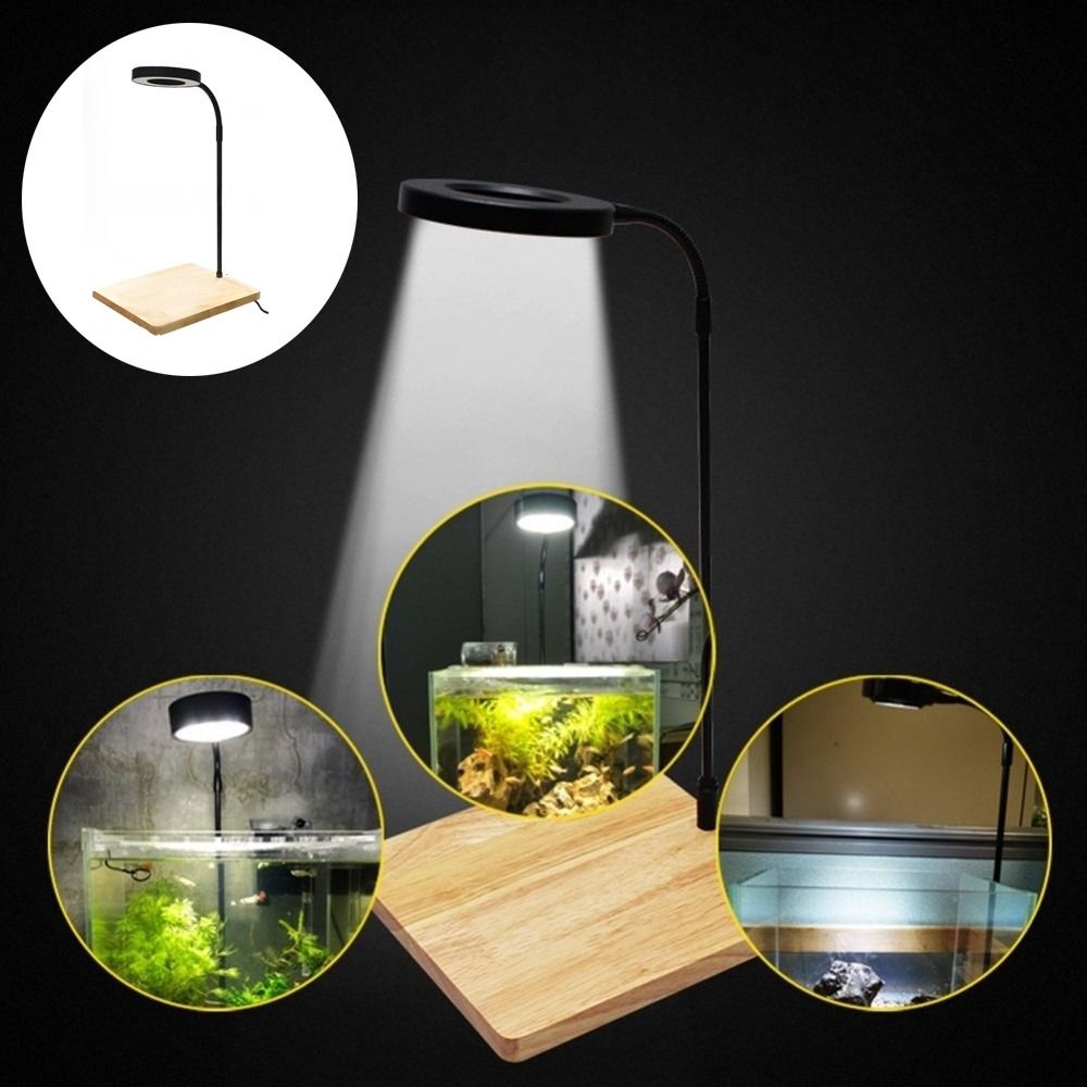 Aquarium Plant On Wood - Lámpara LED de 10W para Pecera