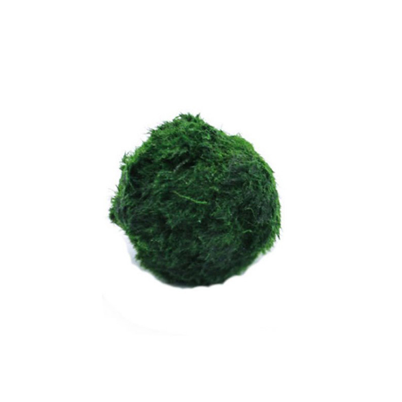 Aquarium Planted Tank Substrate - Bolas de musgo Marimo, planta de