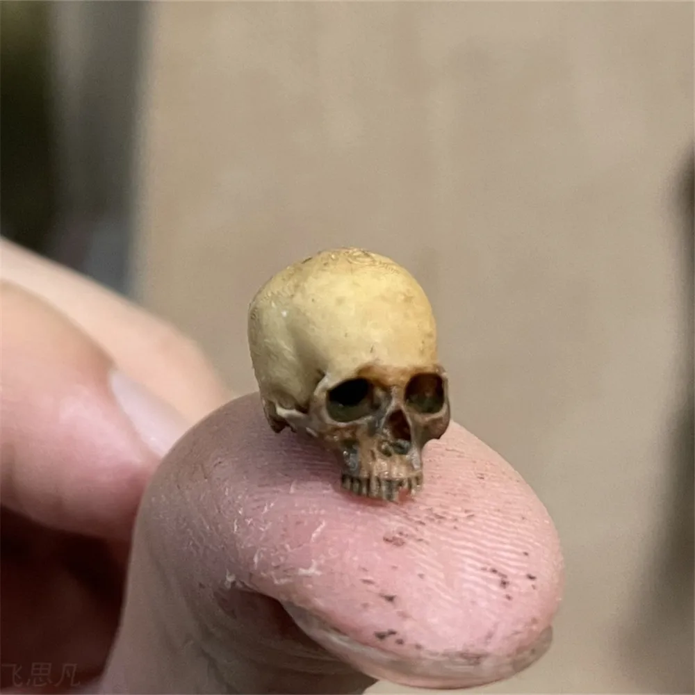 Aquarium Plant Display - Mini calavera, modelo en miniatura de