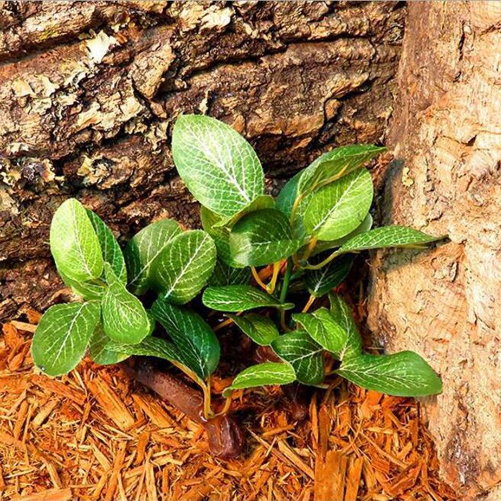Planted Aquarium Jungle - Guirnalda de ratán artificial de resina
