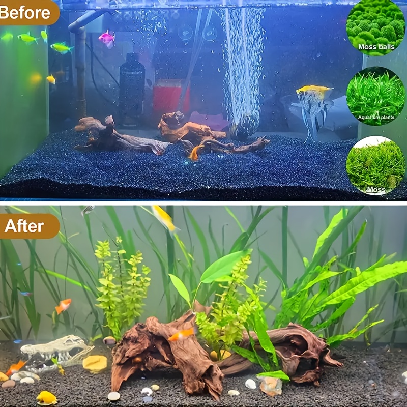 Planted Aquarium With Driftwood - 1 pieza de madera flotante natural