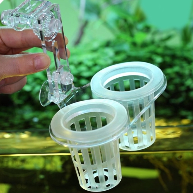 Emersed Plants Aquarium - Soporte para plantas de acuarios, cultivo