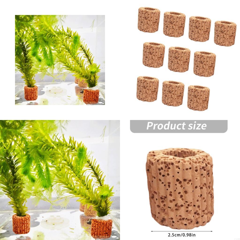 Emersed Plants Aquarium - Soportes para plantas acuario F19B, tazas