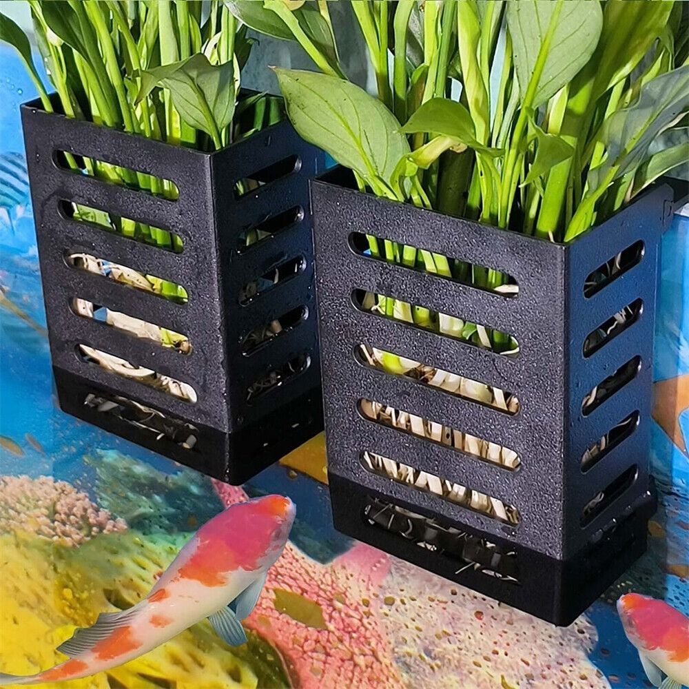 Soporte para plantas de acuari - Emersed Plants Aquarium reseña y precio