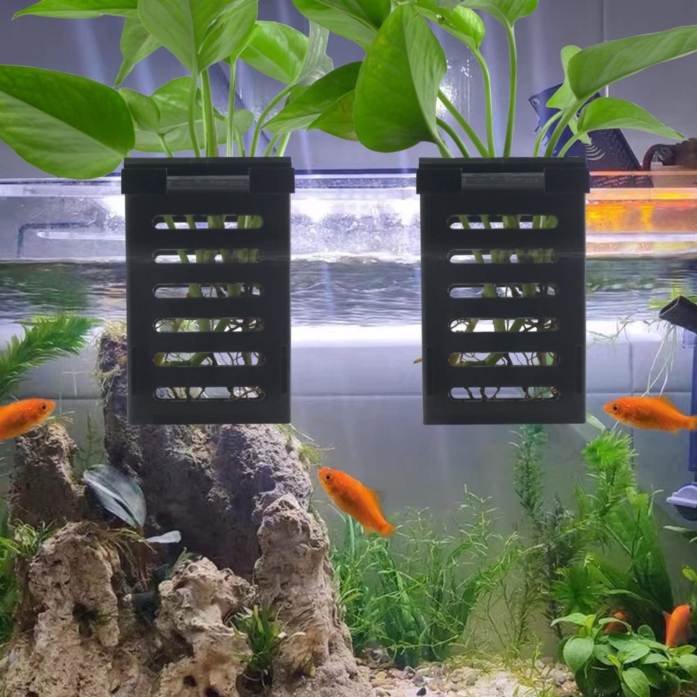 Soporte para plantas de acuari - Emersed Plants Aquarium reseña y precio