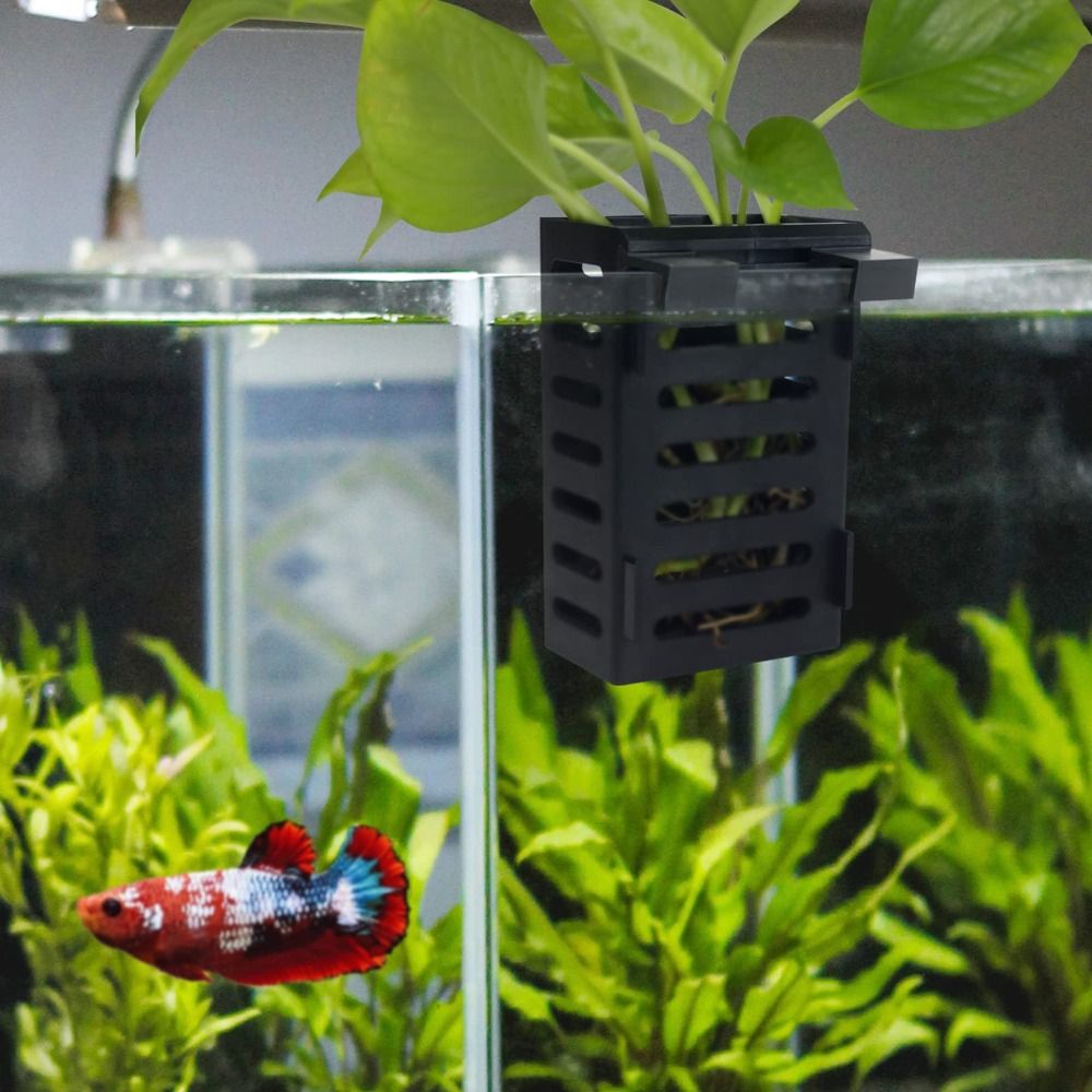 Soporte para plantas de acuari - Emersed Plants Aquarium reseña y precio