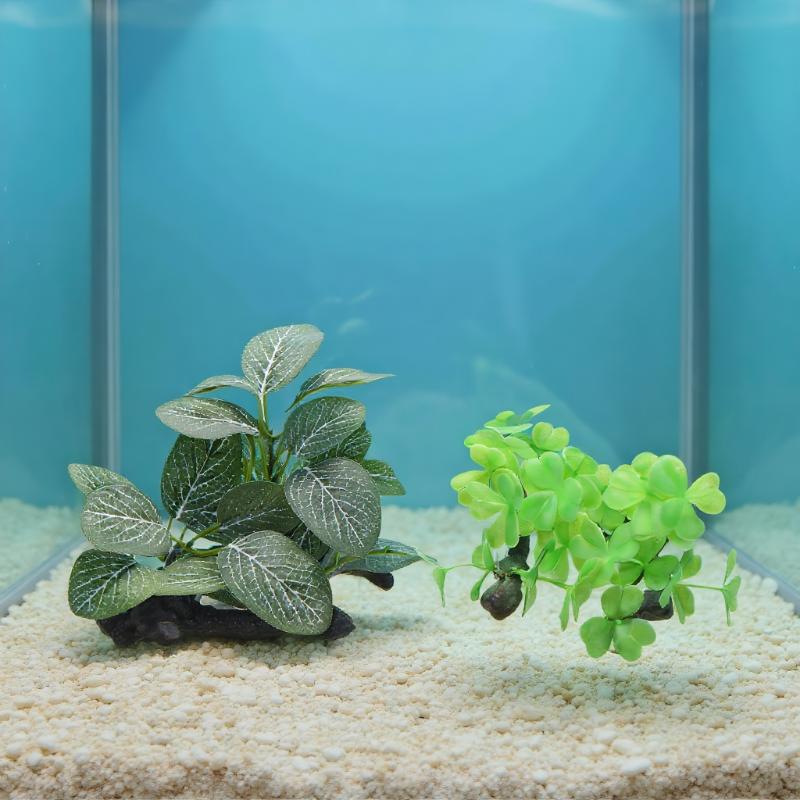 Planta de madera flotante Arti - Planted Aquarium With Driftwood reseña y precio