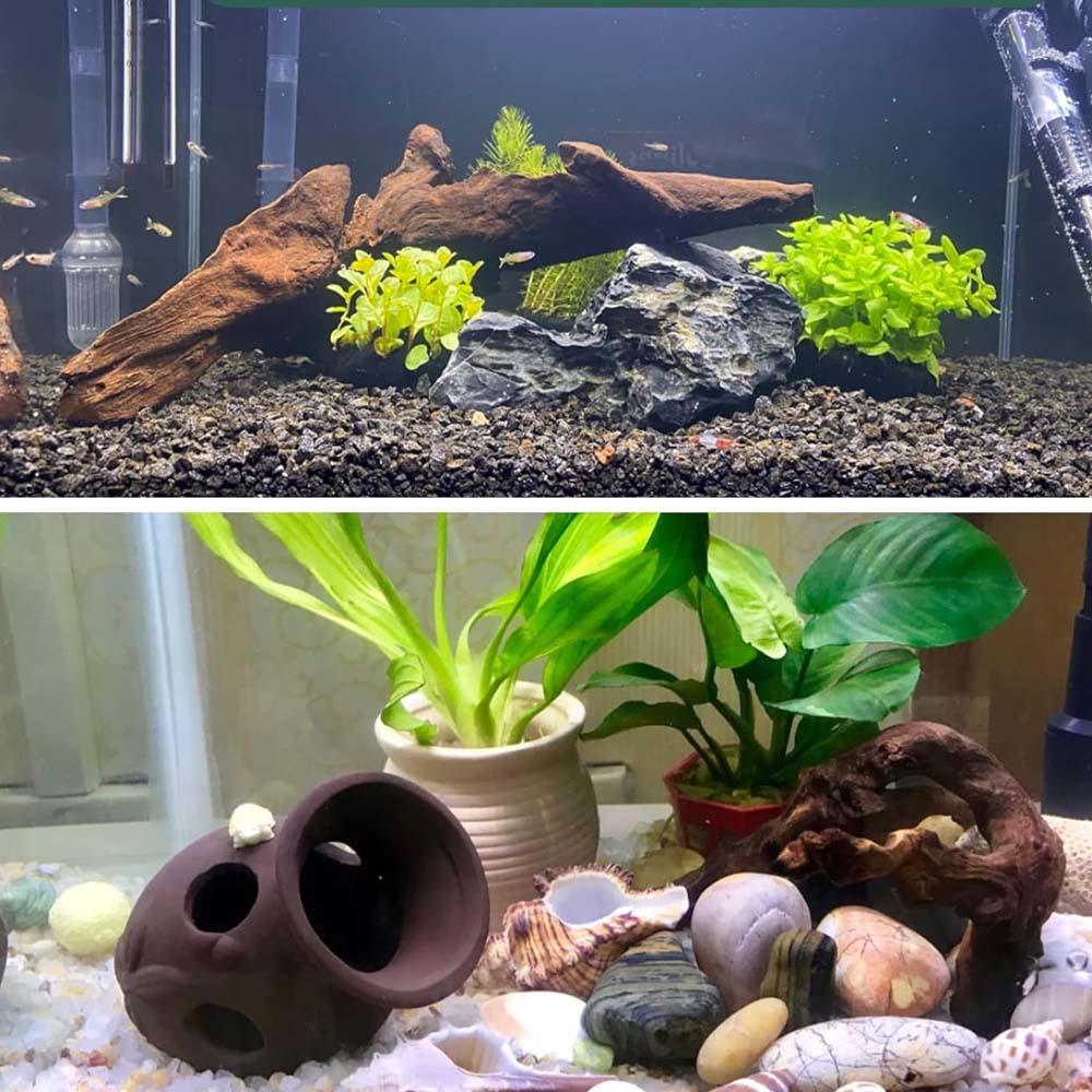 3 piezas ﻿ Juego de madera flo - Aquarium Planted Wood reseña y precio
