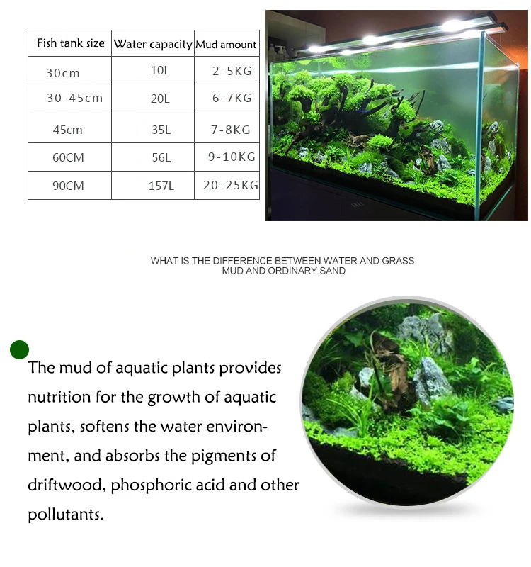 Tanque de peces, agua, hierba, - Planted Aquarium With Sand reseña y precio