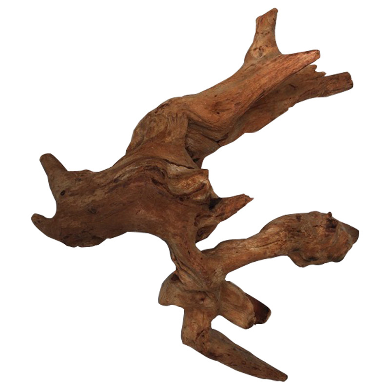 Decoración de acuario de tronc - Aquarium Plant Root Tabs reseña y precio