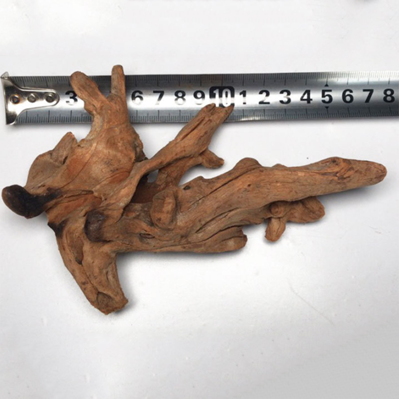 Decoración de acuario de tronc - Aquarium Plant Root Tabs reseña y precio