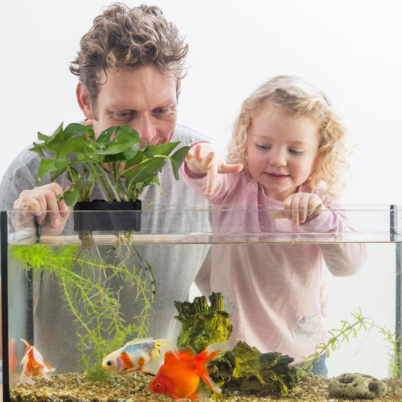 Soporte colgante para plantas  - Emersed Plants Aquarium reseña y precio