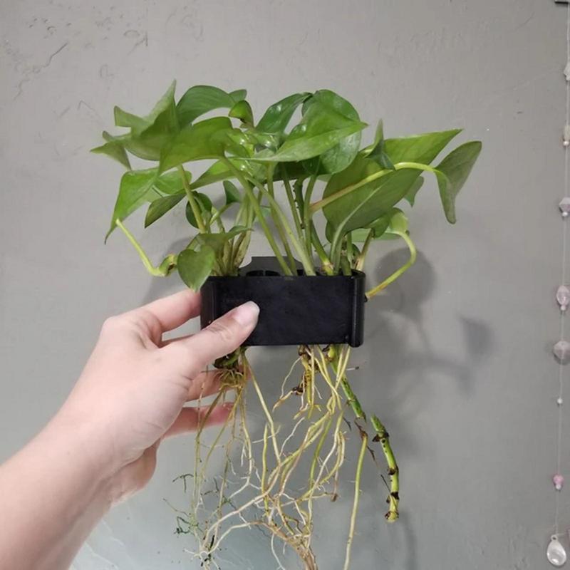 Soporte colgante para plantas  - Emersed Plants Aquarium reseña y precio
