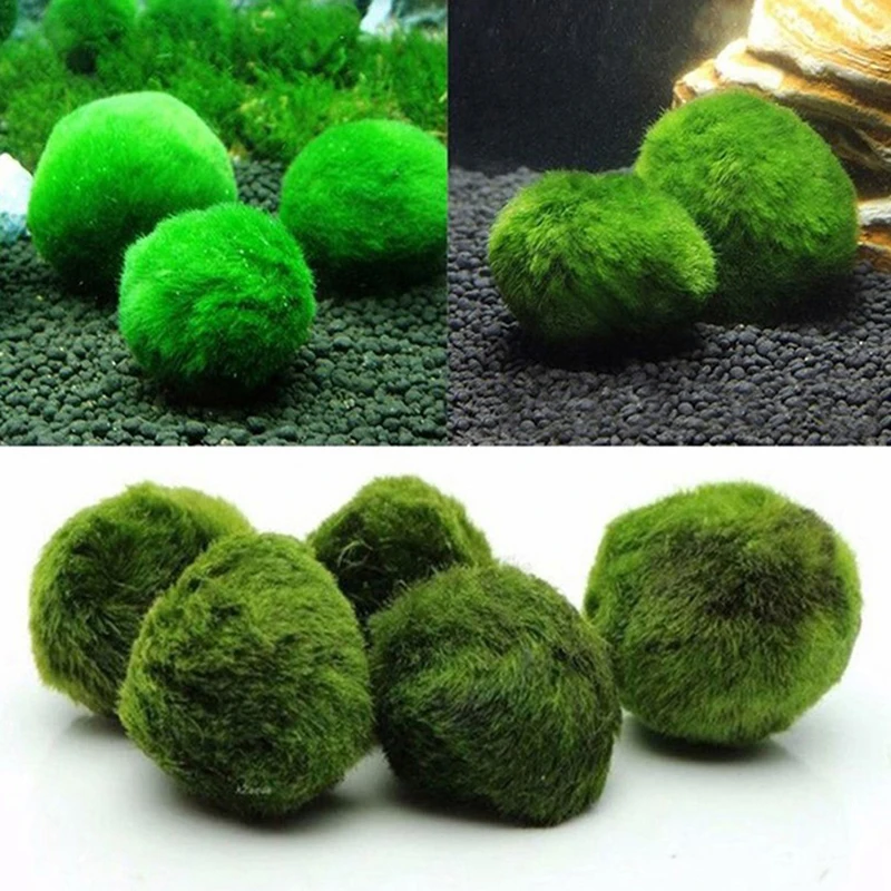 1 Pieza de Bolas de Musgo de 3 - Aquarium Planted Tank Substrate reseña y precio