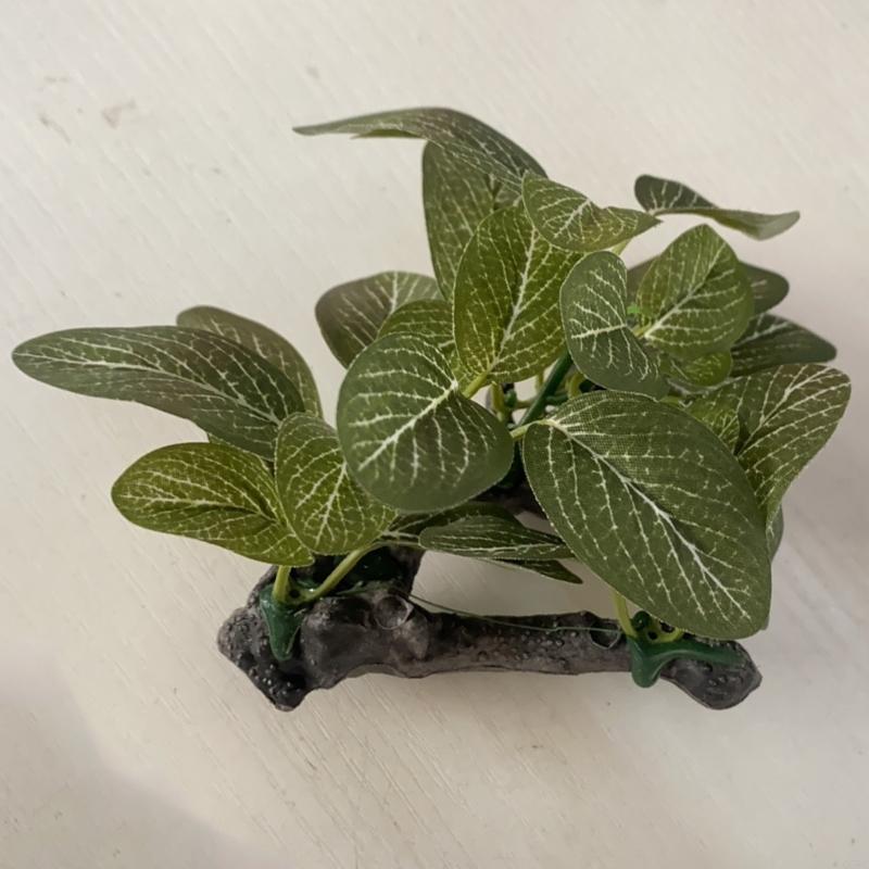 Rama Artificial madera flotant - Planted Aquarium With Driftwood reseña y precio