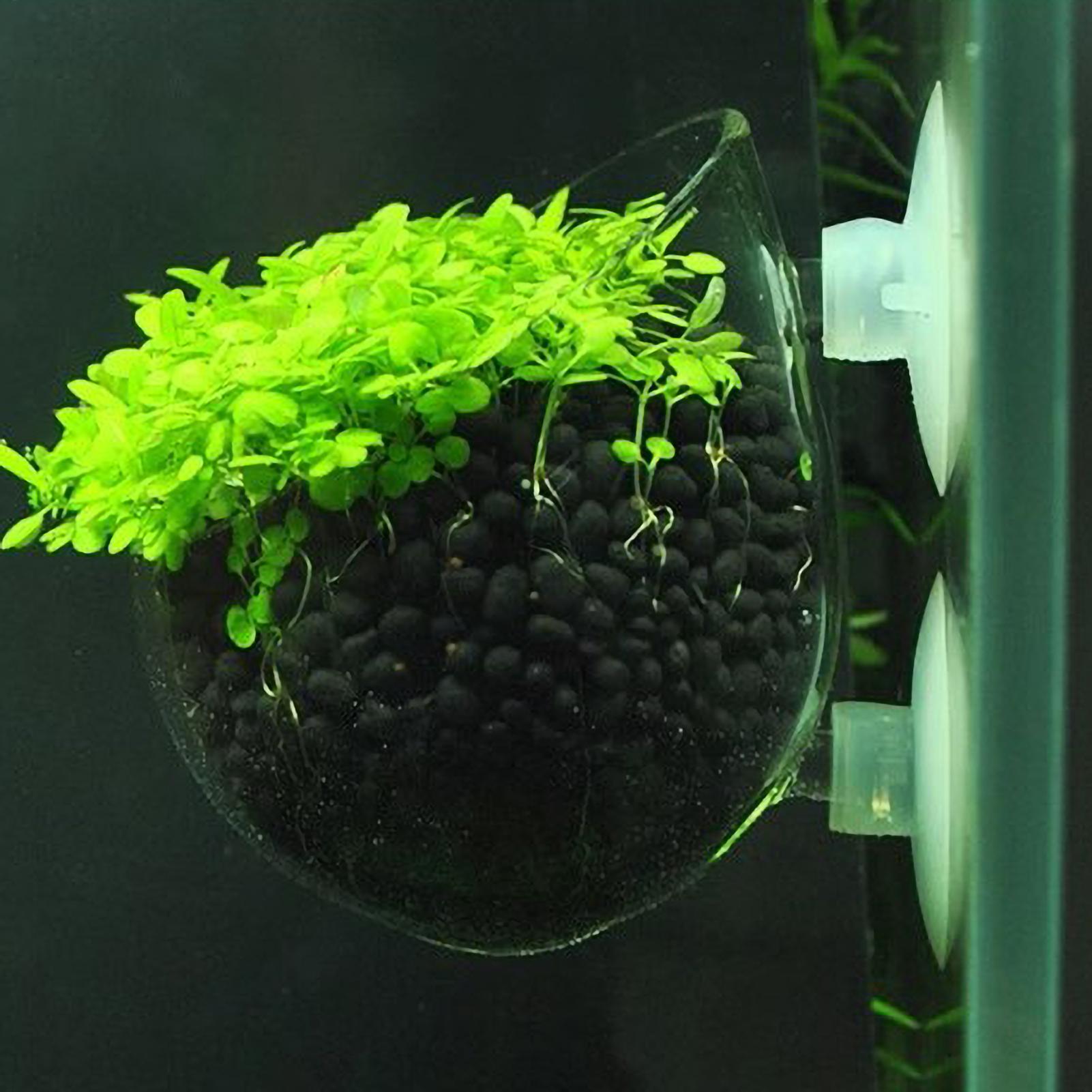 Soporte para Plantas de Acuari - Aquarium Planted Tank Substrate reseña y precio