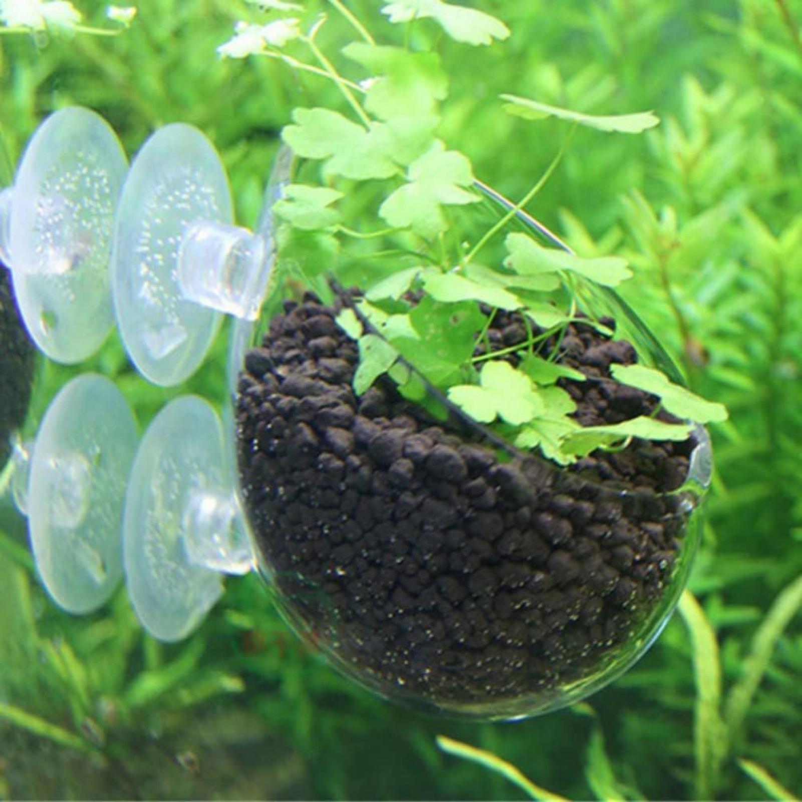 Soporte para Plantas de Acuari - Aquarium Planted Tank Substrate reseña y precio