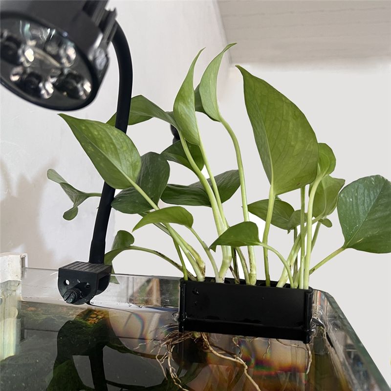ABUN, juego de 2 soportes para - Emersed Plants Aquarium reseña y precio