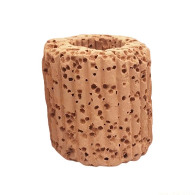 Anclajes para soporte plantas  - Emersed Plants Aquarium reseña y precio