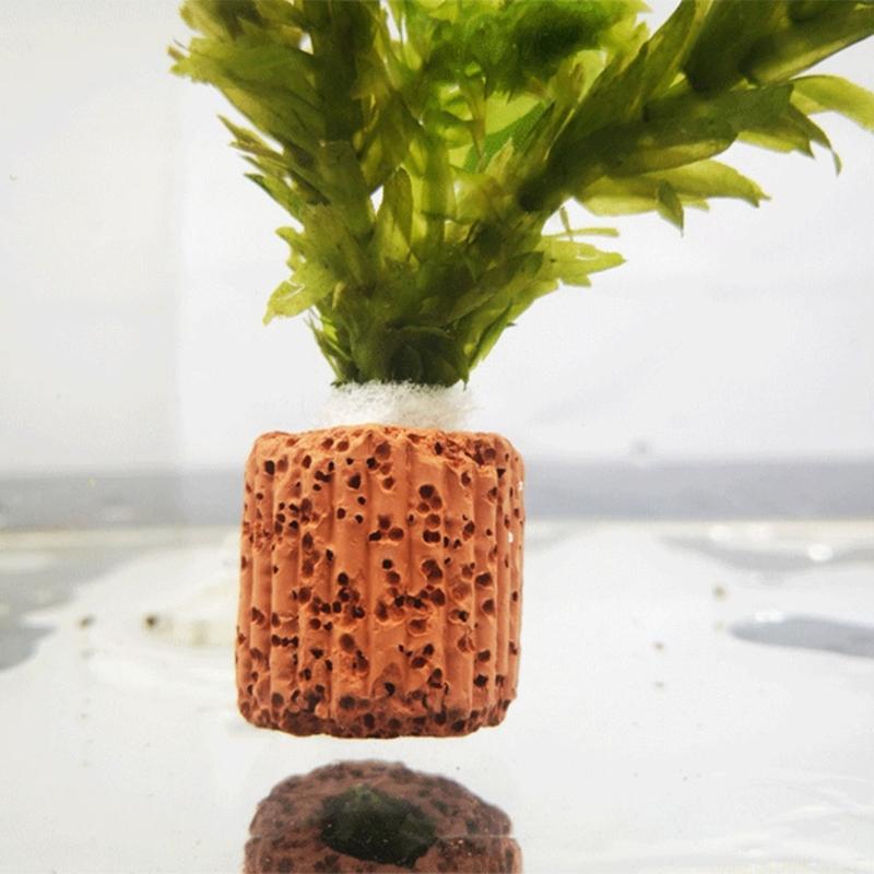 Anclajes para soporte plantas  - Emersed Plants Aquarium reseña y precio