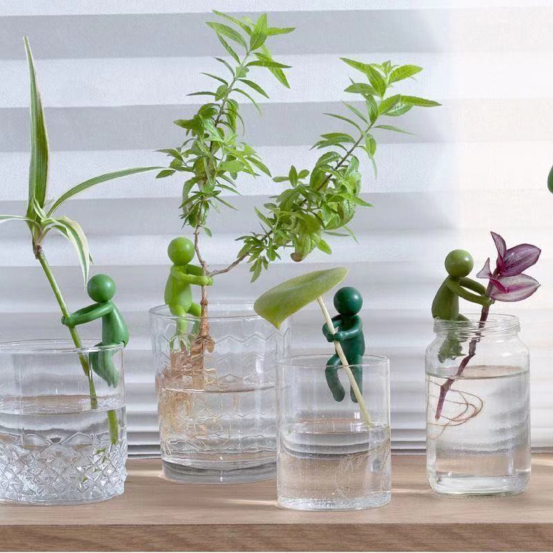 Figura Decorativa para Plantas - Tissue Culture Plant reseña y precio