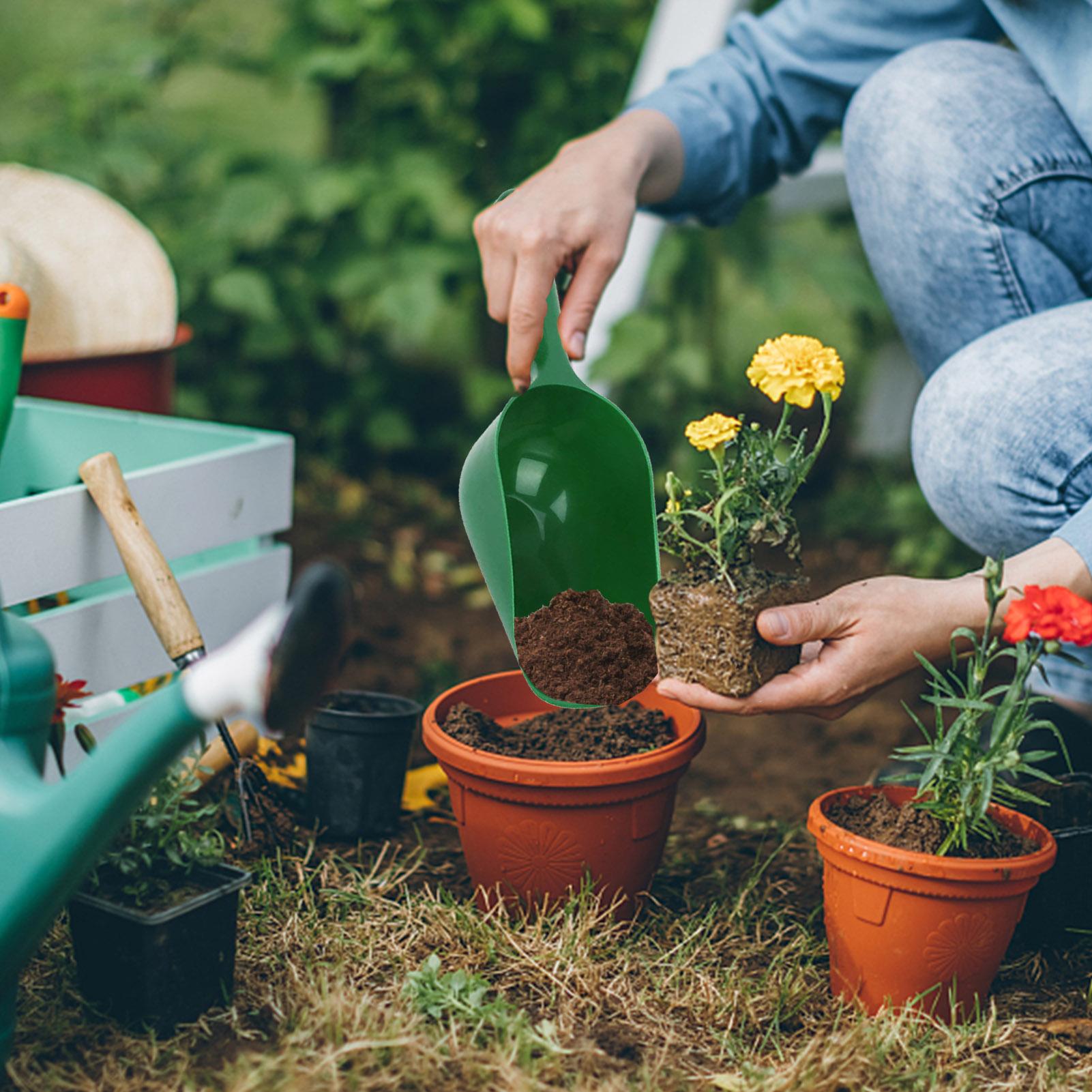 Pala de jardinería de gran cap - Tissue Culture Plant reseña y precio