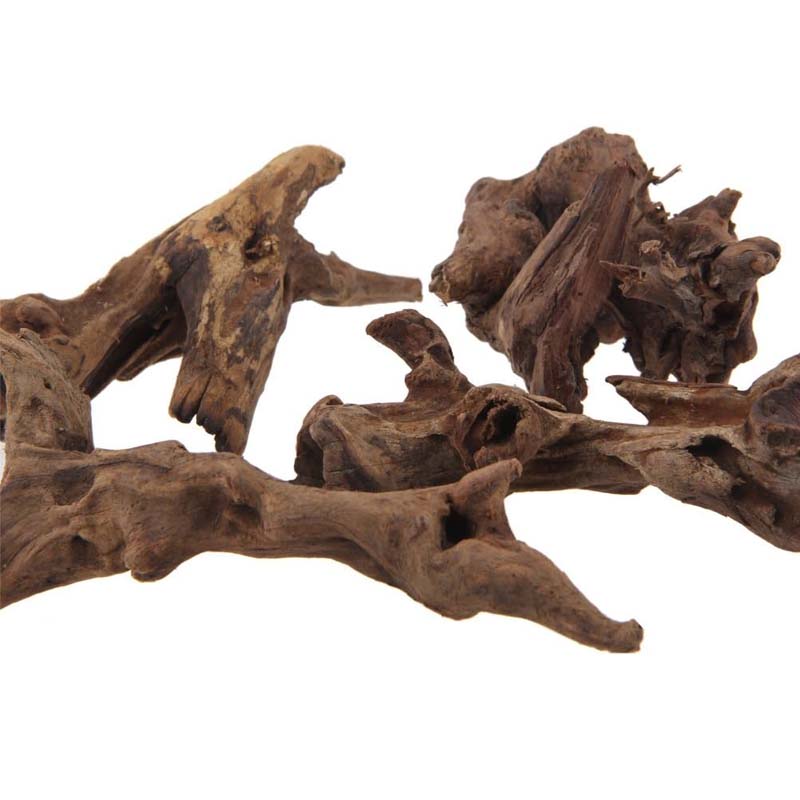 1 unidad de acuario Natural hu - Planted Aquarium With Driftwood reseña y precio