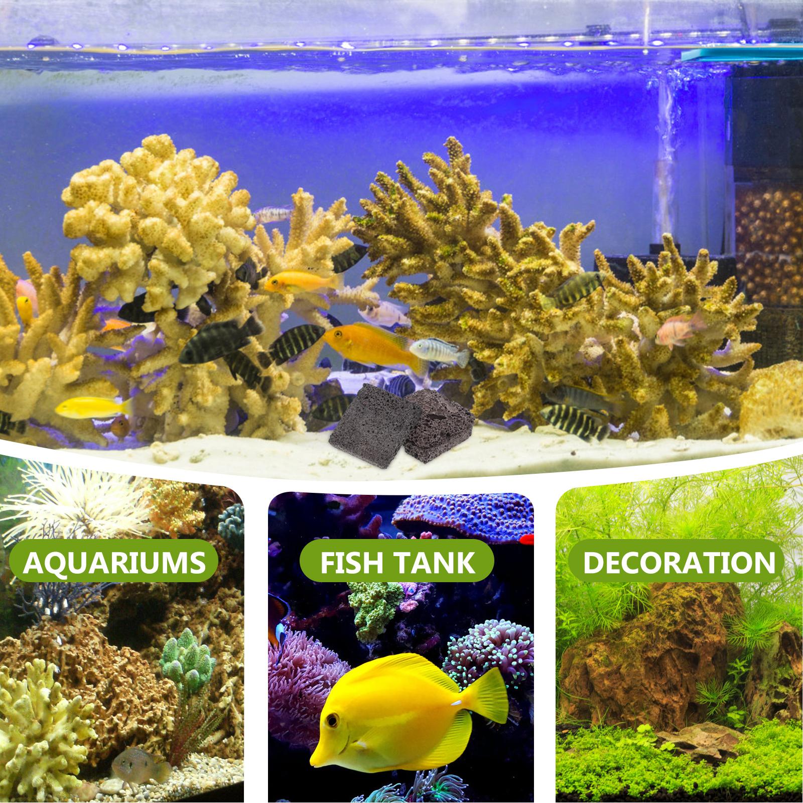   Película de plantación acuát - Aquarium Plant Root Tabs reseña y precio