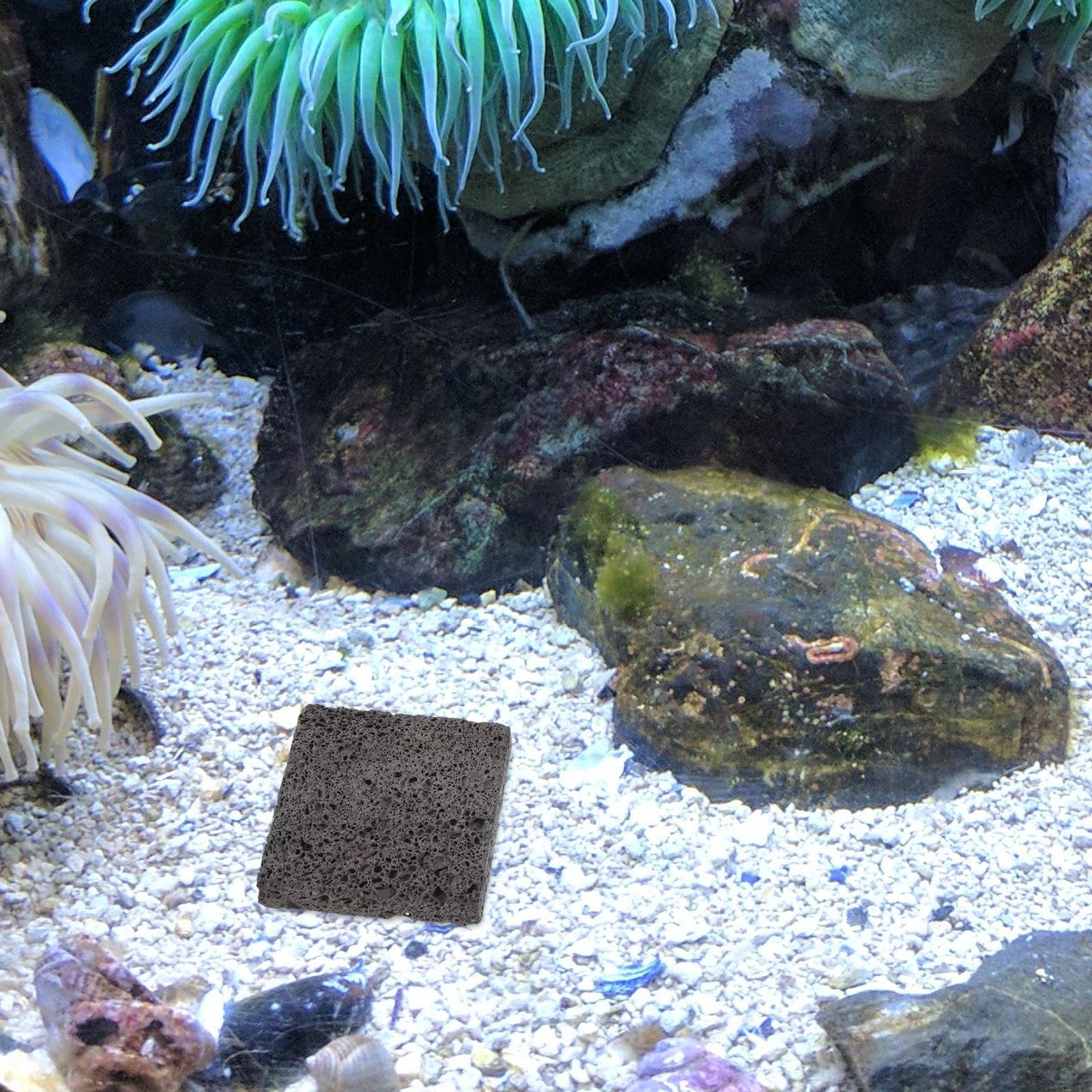   Película de plantación acuát - Aquarium Plant Root Tabs reseña y precio