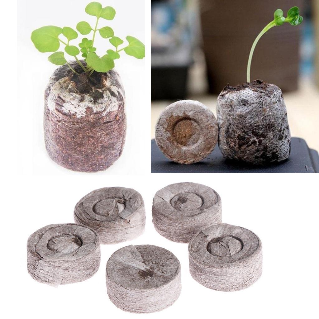 Bloques de turba para germinac - Tissue Culture Plant reseña y precio