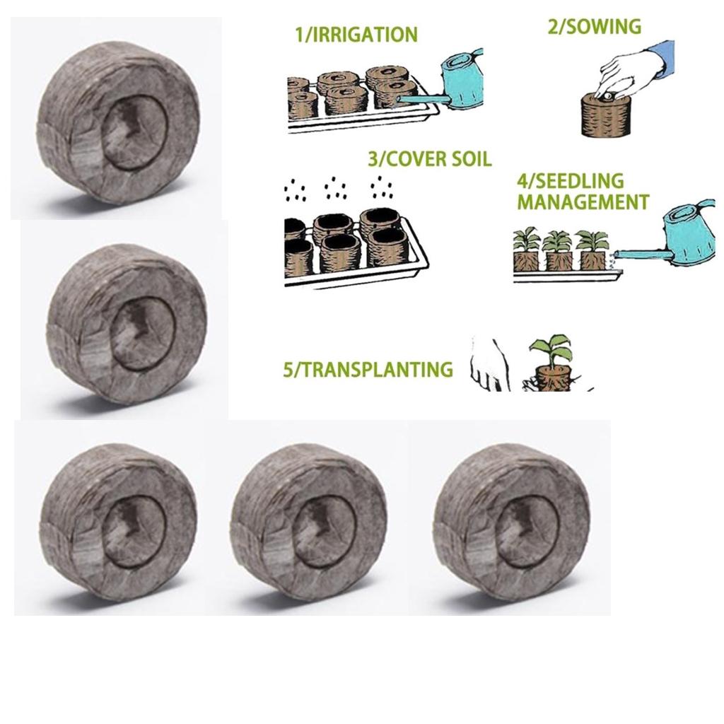 Bloques de turba para germinac - Tissue Culture Plant reseña y precio