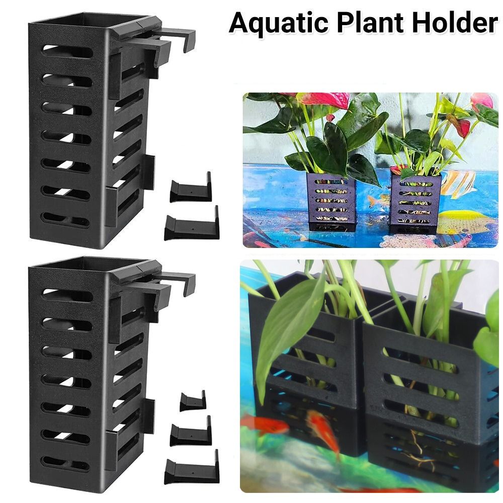 Soporte de vidrio para plantas - Emersed Plants Aquarium reseña y precio