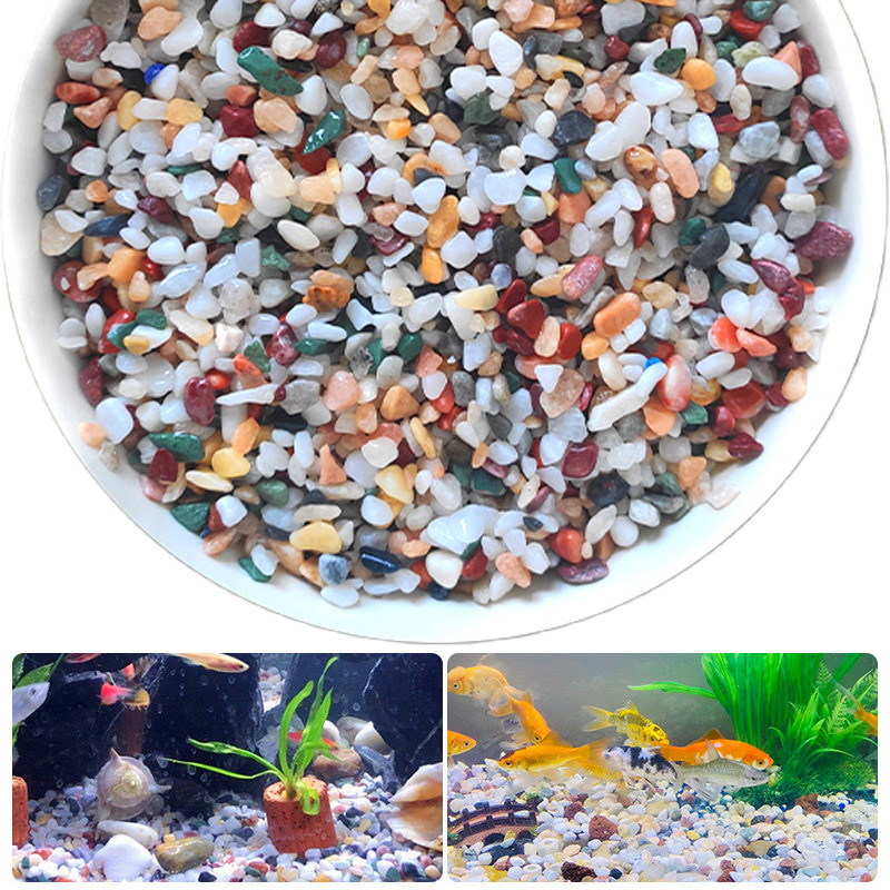 Piedra de grava natural, 200 ~ - Planted Aquarium With Sand reseña y precio