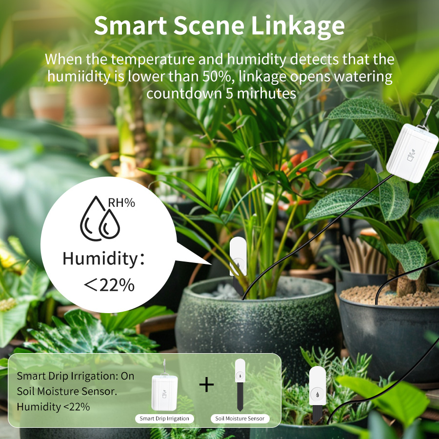 Sensor de Humedad y Temperatur - Tissue Culture Plant reseña y precio