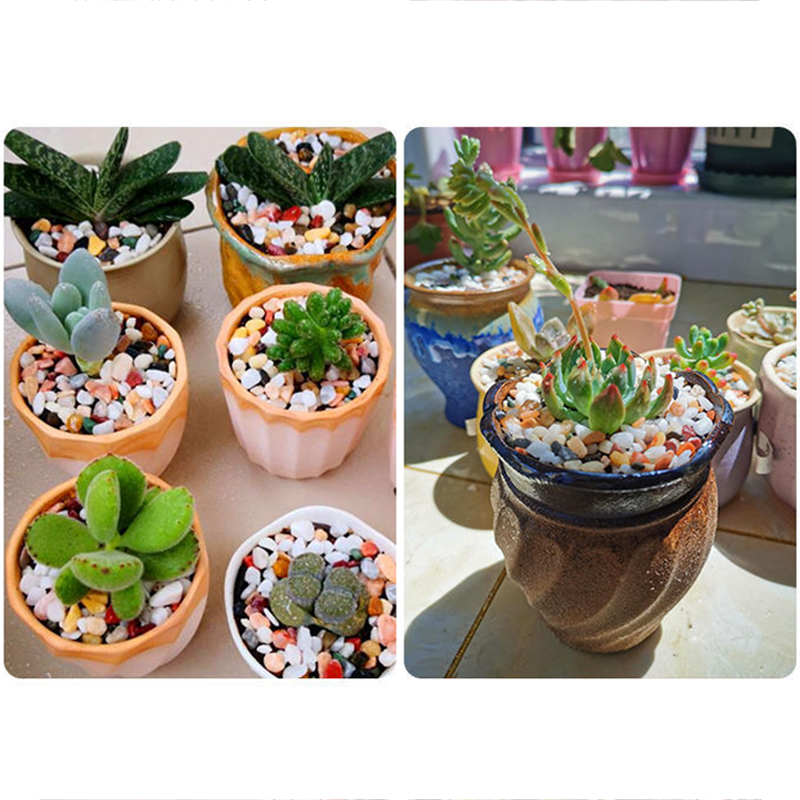 Arena para el fondo del acuari - Planted Aquarium With Sand reseña y precio