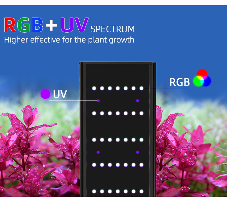 WEEK AQUA Serie L Control de a - Aquarium Plant Display reseña y precio