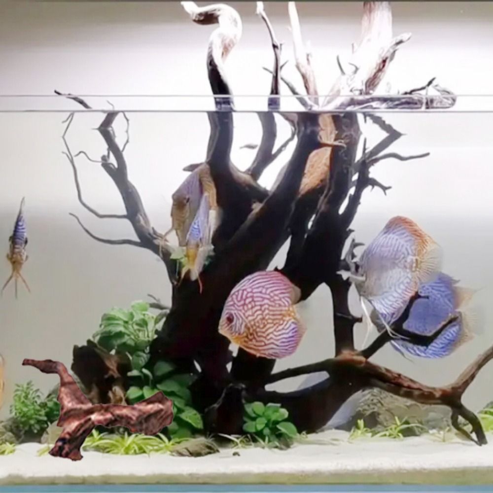 Tronco de Madera Natural de Co - Aquarium Planted Wood reseña y precio