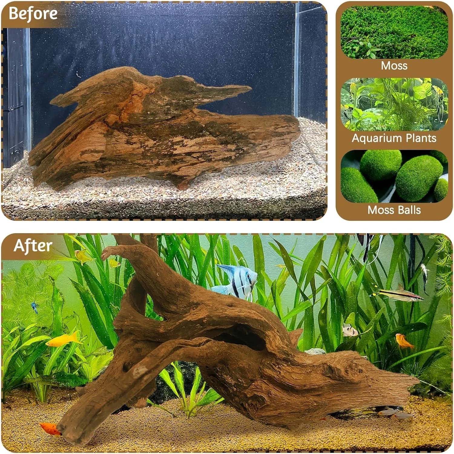 15-20CM 1 Pieza de Madera Natu - Aquarium Planted Wood reseña y precio