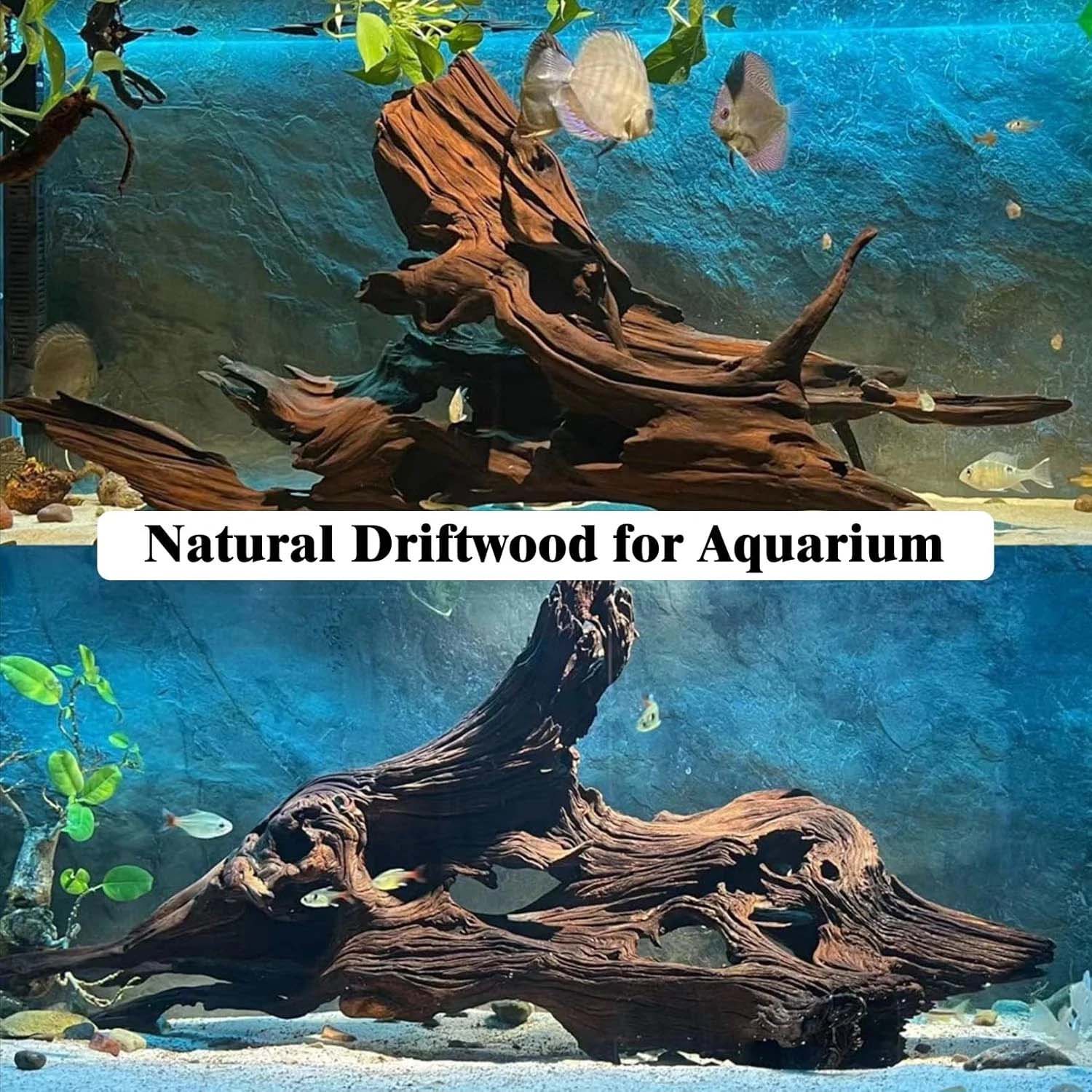 15-20CM 1 Pieza de Madera Natu - Aquarium Planted Wood reseña y precio