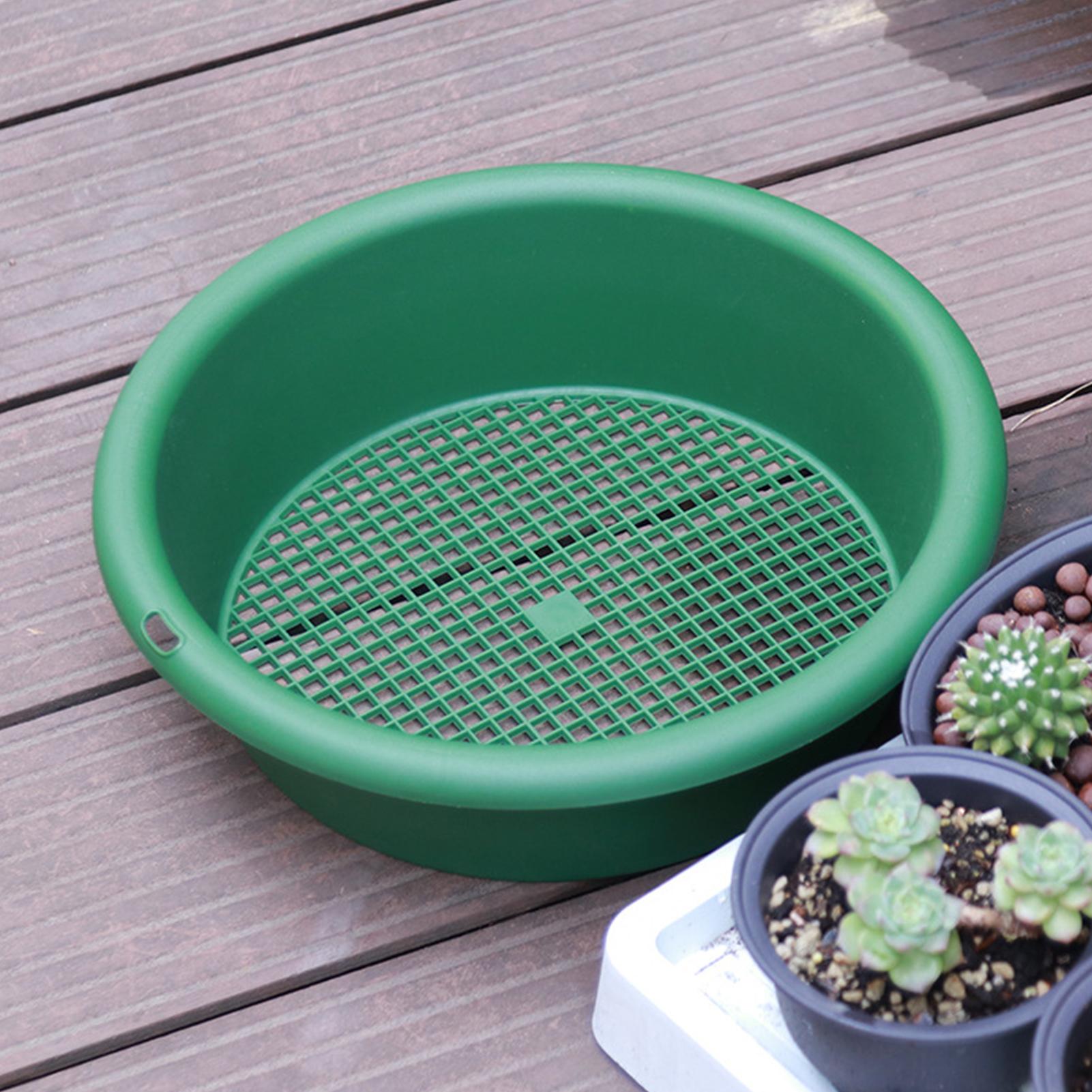 Tamiz para Rocas, Tamiz de Mal - Tissue Culture Plant reseña y precio