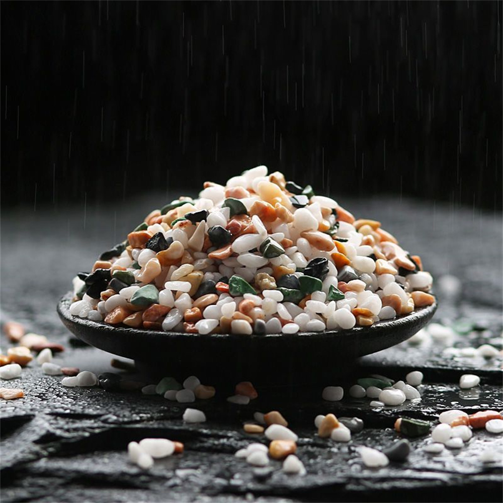 100g de Piedras de Grava de Cr - Planted Aquarium With Sand reseña y precio