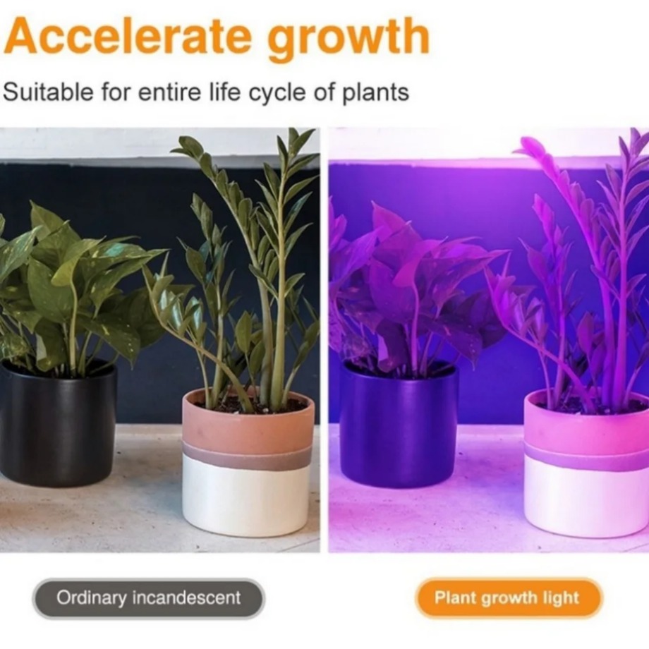 Bombilla LED de espectro compl - Aquarium Plant Root Tabs reseña y precio