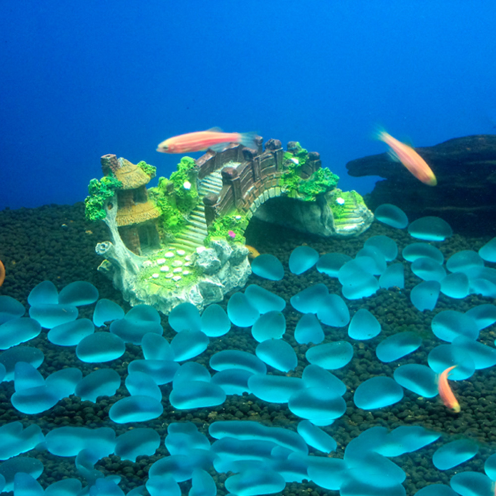 Accesorios para acuario, árbol - Aquarium Planted Wood reseña y precio