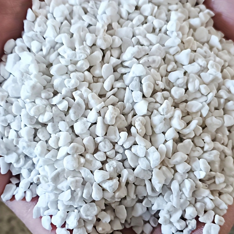 Paquete de 1 Perlita Hortícola - Tissue Culture Plant reseña y precio