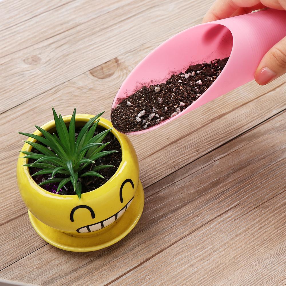 Mini Cubo de Cultivo en Maceta - Tissue Culture Plant reseña y precio