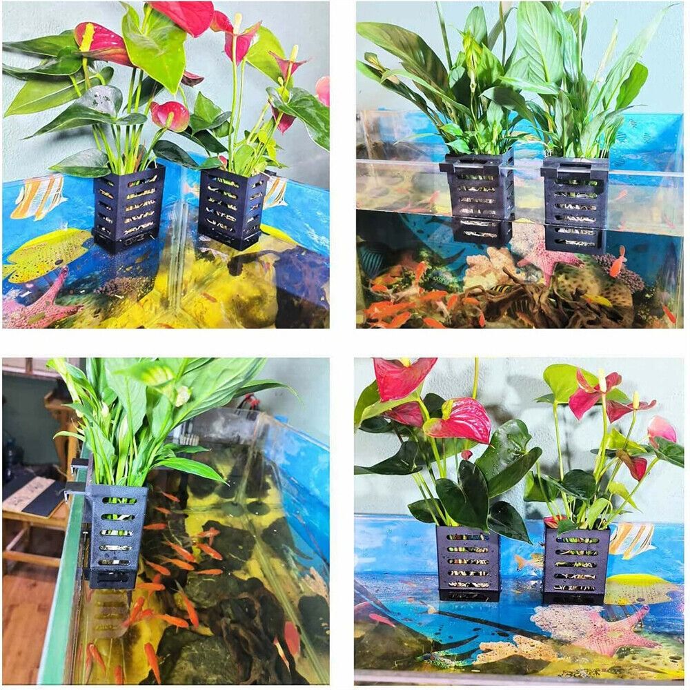 Soporte para Plantas de Acuari - Emersed Plants Aquarium reseña y precio